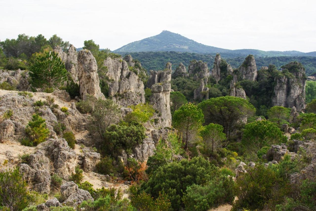 Le Patio: Charming 3-Star Residence in Beziers City Center Exterior photo